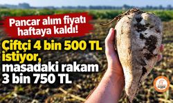 Pancar alım fiyatı haftaya kaldı! Çiftçi 4 bin 500 TL istiyor, masadaki rakam 3 bin 750 TL