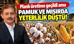 Demiröz planlı üretimin 2 yıllık karnesini çıkardı! Pamuk yüzde 96'ya, mısır yüzde 73'e düştü