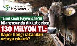 Tarım Kredi Hayvancılık'ın bilançosunda dikkat çeken 130 milyon TL: Rapor hangi rakamları ortaya çıkardı?