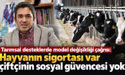 Tarımsal desteklerde model değişikliği çağrısı: Hayvanın sigortası var çiftçinin sosyal güvencesi yok
