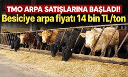 TMO arpa satışlarına başladı! Besiciye arpa fiyatı 14 bin TL/ton