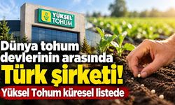 Küresel hibrit sebze tohumu pazarında Türk şirketi! Yüksel Tohum dünya devleriyle aynı listede