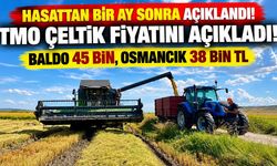 Hasat başladı, fiyat bir ay sonra geldi! TMO çeltik alım fiyatlarını açıkladı