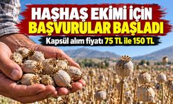 2027 haşhaş alım fiyatı belli oldu! Kilosu 150 TL’ye kadar çıkacak