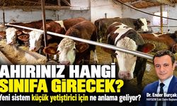 Ahırınız hangi sınıfa girecek? Yeni sistem küçük yetiştirici için ne anlama geliyor?