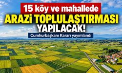 15 köy ve mahallede arazi toplulaştırması yapılacak! Cumhurbaşkanı Kararı yayımlandı