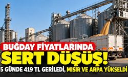 Buğday fiyatlarında sert düşüş! 5 günde 419 TL geriledi, mısır ve arpa yükseldi