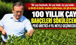 100 yıllık çay bahçeleri sökülecek! Peki üretici 4 yıl neyle geçinecek?