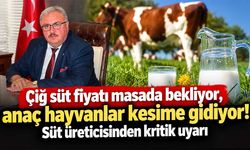 Süt üreticisinden kritik uyarı: Fiyat artışı gecikirse anaç hayvanlar kesime gidecek!