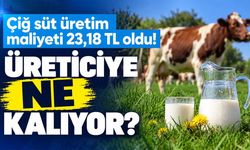 Süt üreticisine bir ayda 1,70 TL maliyet şoku! Ulusal Süt Konseyi yeni rakamı açıkladı