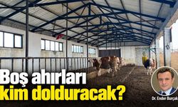 Boş ahırları kim dolduracak?