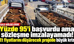 Yüzde 95'i başvurdu ama sözleşme imzalayamadı! Et fiyatlarını düşürecek projede büyük kriz