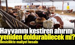 Hayvanını kestiren ahırını yeniden doldurabilecek mi? Besicilikte maliyet hesabı