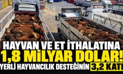 Hayvan ve et ithalatına 1,8 milyar dolar! Yerli hayvancılık desteğinin 3,2 katı