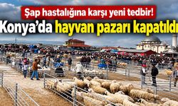 Şap hastalığına karşı yeni tedbir! Konya’da hayvan pazarı kapatıldı