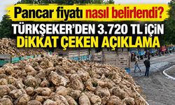 Pancar fiyatı nasıl belirlendi? TÜRKŞEKER'den 3.720 TL için dikkat çeken açıklama