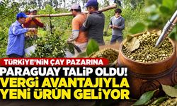 Türkiye'nin çay pazarına Paraguay talip oldu! Vergi avantajıyla yeni ürün geliyor