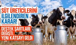 Çiğ süt desteğinde yeni karar! Üreticiye ilave 0,3 katsayı, 1 Ocak'tan itibaren geçerli