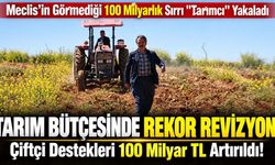 Çiftçiye 100 milyar liralık "gizli" bütçe müjdesi! Meclis’in görmediği sırrı "Tarımcı" yakaladı