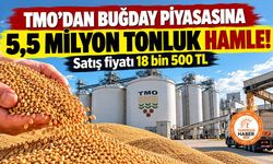 TMO 5,5 milyon ton buğdayı piyasaya veriyor! Ekim ayı satış fiyatları belli oldu