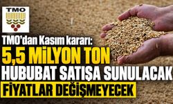 TMO’dan Kasım kararı: 5,5 milyon ton hububat satışa sunulacak, fiyatlar değişmeyecek