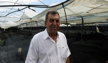 Solucandan gübre mi olur?