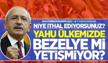Kılıçdaroğlu, hükümeti bezelye ithalatı üzerinden eleştirdi!