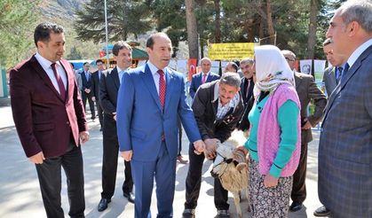 Amasya’da koç dağıtımı yapıldı