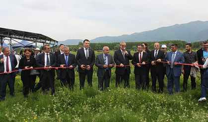 Düzce Mayıs ayı tarım ve hayvancılık faaliyetleri