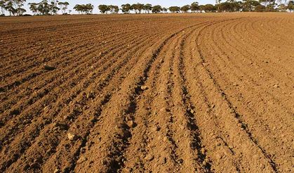 Nadas nedir ve niçin uygulanır?