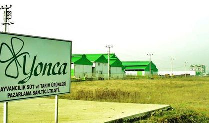 Kırklareli’nde büyük hayvan kıyımı!