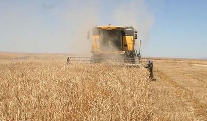 Tarım ÜFE Kasımda yükseldi çeltik ve tahıllar başı çekti