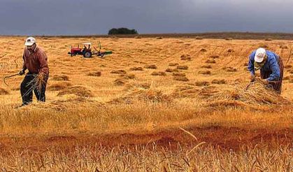 Uzmanından 2017 tarımsal desteklerin analizi