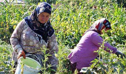 ÇKS’de son haftaya girildi!