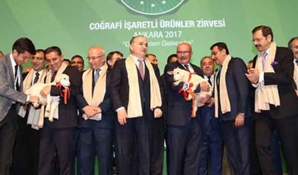 Coğrafi işaretli ürünler zirvesine Ankara Keçisi damgasını vurdu