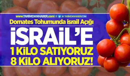 Domates tohumunda İsrail açığı!