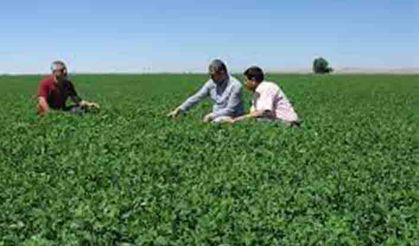 Halis Bilden, Koçaş işletmesini ziyaret etti