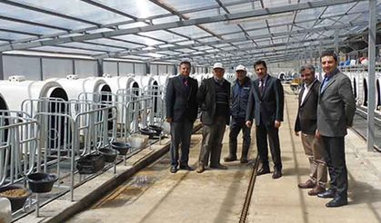 Hastalıktan ari hayvancılık çiftliğine ziyaret