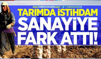 Tarımda istihdam sanayiyi yine geçti