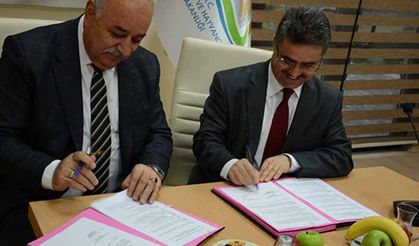 TİGEM ve TAGEM arasında sebze tohumu işbirliği