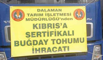 TİGEM’den Sudan ve Kuzey Kıbrıs’a buğday tohumluğu ihracatı