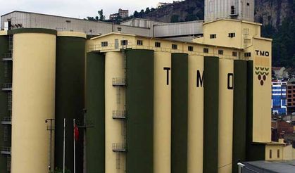 TMO depoculuk yapamayacak