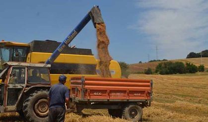 TMO’nun hububat ithalat yetkisi kolaylaştırıldı!