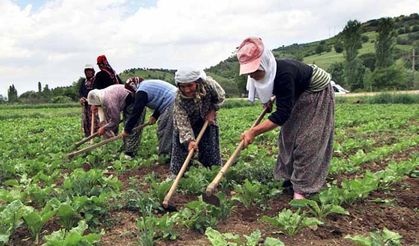 TZOB: Kırsal nüfus azalıyor
