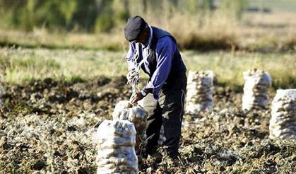 TZOB: Kırsalda nüfus azalıyor önlem alınmalı!