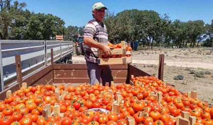 TZOB: Reel sektörün temeli tarım!