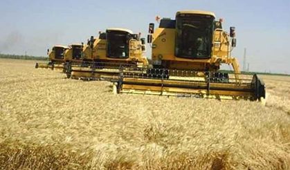 Çiftçi buğdayda ton başına 100 lira zarar etti!