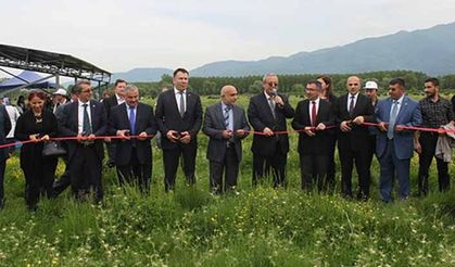 Kuşaçması Köyünde mera sevinci