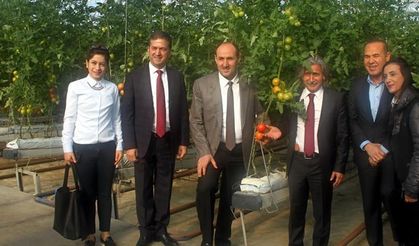 Tekin, Adana’da seracılık gelişiyor!