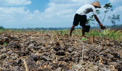 Gıda ve iklim değişikliği en önemli etken!